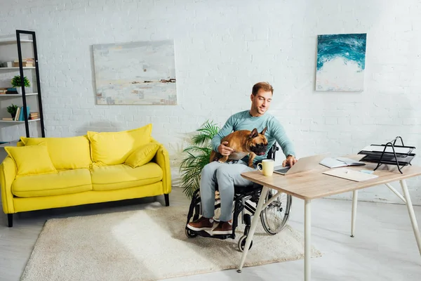 Disabled man holding french bulldog on knees and working on laptop at home — Stock Photo