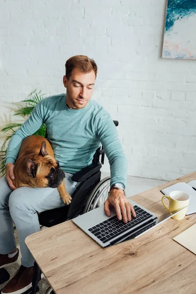 Homem com deficiência segurando bulldog francês e trabalhando em laptop em casa — Fotografia de Stock