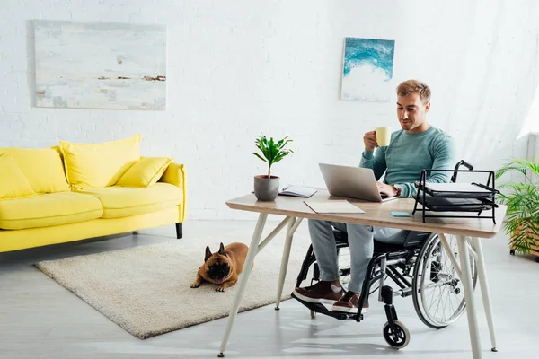 Homem com deficiência com laptop e copo e bulldog francês na sala de estar — Fotografia de Stock