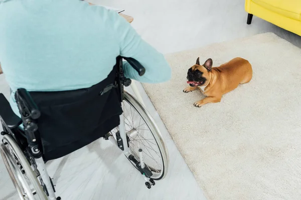 Cropped view of disabled man and french bulldog in living room — Stock Photo