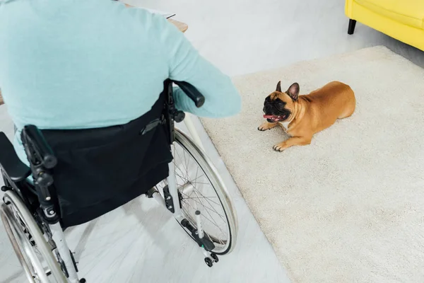 Vue dégagée de l'homme handicapé et du bouledogue français dans le salon — Photo de stock