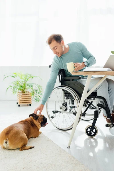 Behinderter hält Tasse und reicht französische Bulldogge die Hand — Stockfoto