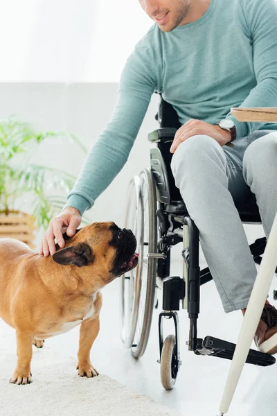 Vista ritagliata di disabilità sorridente uomo accarezzando bulldog francese — Foto stock