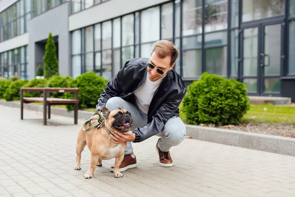 Schöner Mann streichelt französische Bulldogge auf Straße — Stockfoto