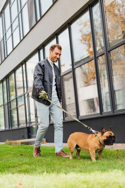 Un homme souriant marche avec un bouledogue français en laisse sur la pelouse à côté du bâtiment — Photo de stock