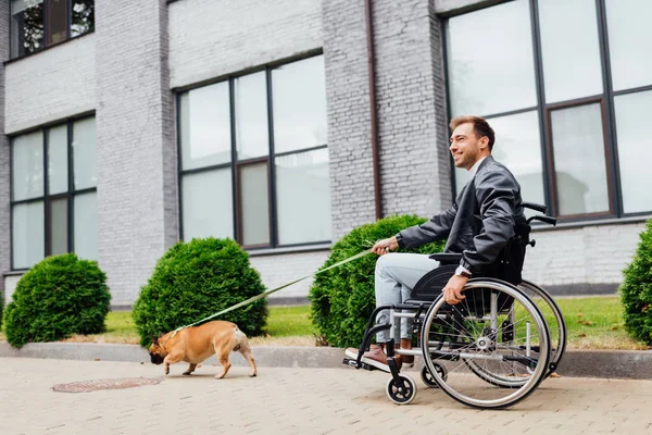 Smiling disabled man walk with french bulldog on leash on urban street — Stock Photo