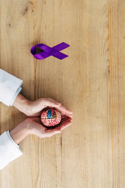 Cropped view of doctor holding model of brain in clinic — Stock Photo