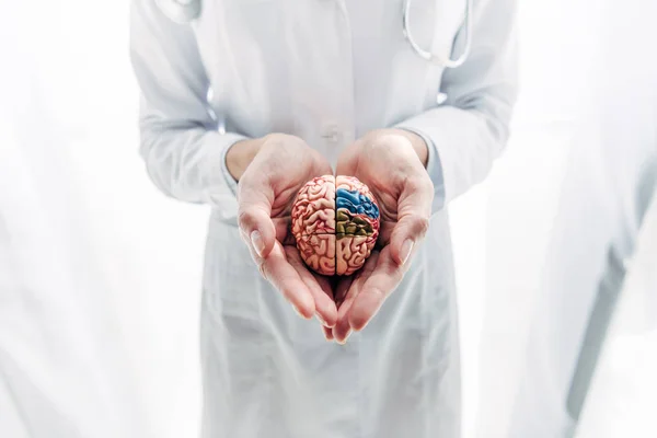 Cropped view of doctor in white coat holding model of brain in clinic — Stock Photo