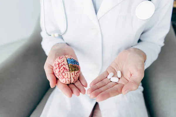 Vista recortada de médico sosteniendo modelo de cerebro y píldoras - foto de stock