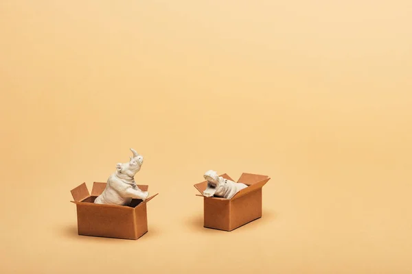 White toy hippopotamus and rhinoceros in cardboard boxes on yellow background, animal welfare concept — Stock Photo