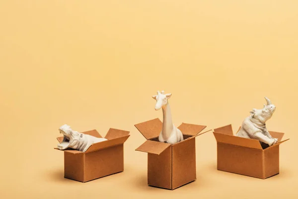 Білий іграшковий гіпопокам, носоріг та жираф у картонних коробках на жовтому тлі, концепція добробуту тварин — стокове фото