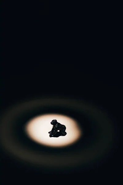 Toy gorilla under spotlight on black background — Stock Photo