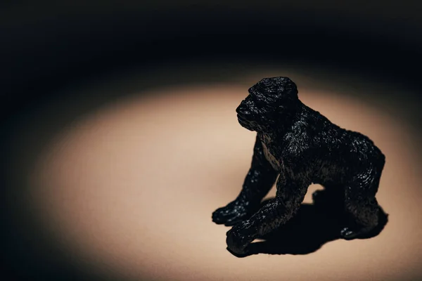 Toy gorilla under spotlight on black background — Stock Photo