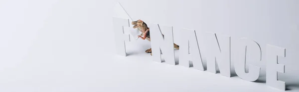 Panoramic shot of toy dinosaur with finance word on grey background — Stock Photo