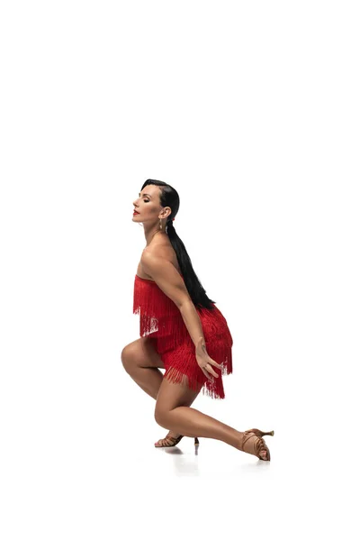 Elegante bailarina en cuclillas con los ojos cerrados mientras realiza tango sobre fondo blanco - foto de stock