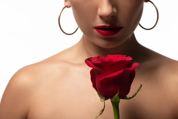 Vue recadrée du danseur de tango sensuel tenant rose rouge isolé sur blanc — Photo de stock