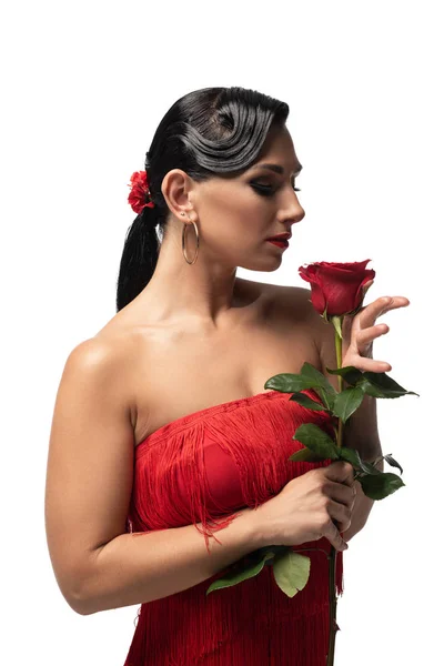 Atractiva y elegante bailarina de tango en vestido con flecos sosteniendo rosa roja aislada en blanco - foto de stock