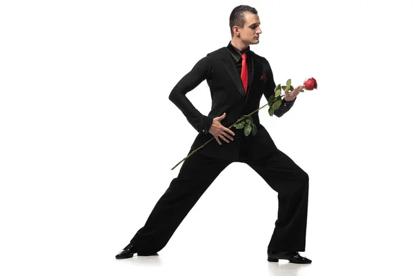 Sensual dancer in elegant black suit performing tango with black rose on white background — Stock Photo