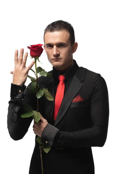 Leidenschaftliche, elegante Tangotänzerin, die eine schwarze Rose in der Hand hält und isoliert auf weiß in die Kamera blickt — Stockfoto