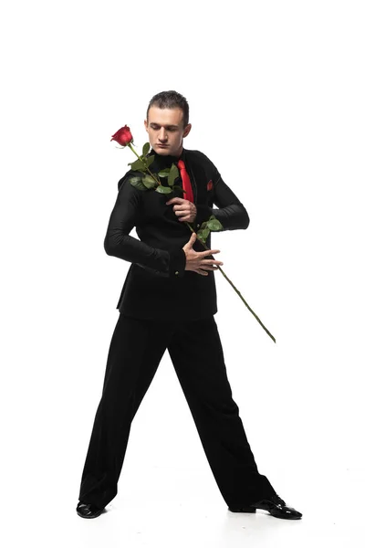 Confident, sensual tango dancer in elegant black suit holding red rose on white background — Stock Photo