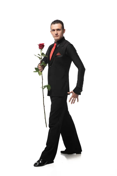 Elegant tango dancer in black suit holding red rose while looking at camera on white background — Stock Photo