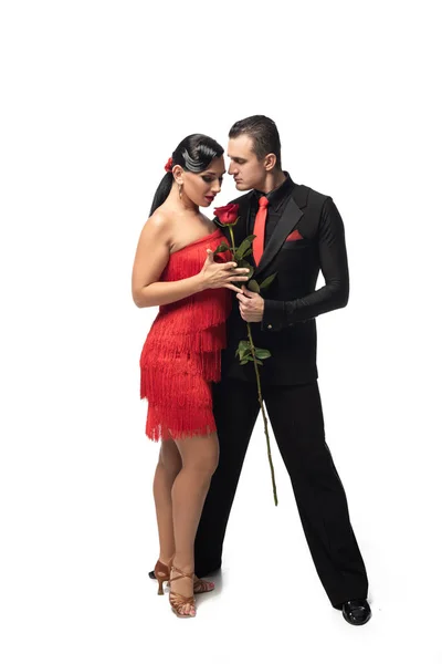 Выразительный, элегантный танцор подаривший красную розу привлекательному, чувственному партнеру на белом фоне — стоковое фото