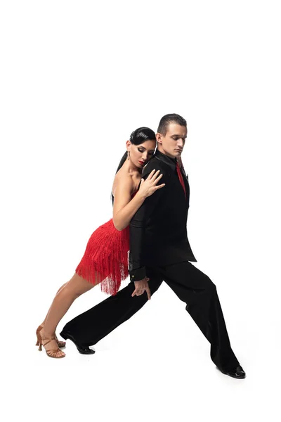 Attrayant danseur appuyé sur le dos de partenaire élégant tout en effectuant tango sur fond blanc — Photo de stock