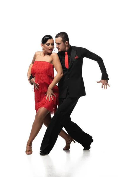 Elegant, graceful couple of dancers performing tango on white background — Stock Photo