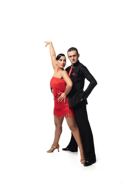 Hübsche, stylische Tänzerin, die in die Kamera blickt, während sie mit attraktiver Partnerin auf weißem Hintergrund Tango performt — Stockfoto