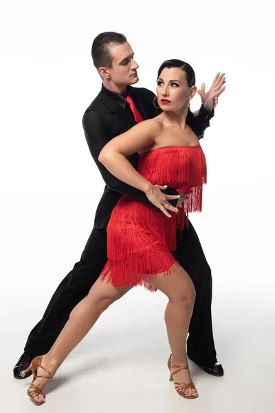 Sensual, elegante pareja de bailarines realizando tango sobre fondo blanco - foto de stock