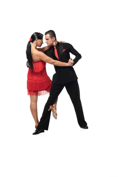 Stylish, expressive dancers performing tango on white background — Stock Photo