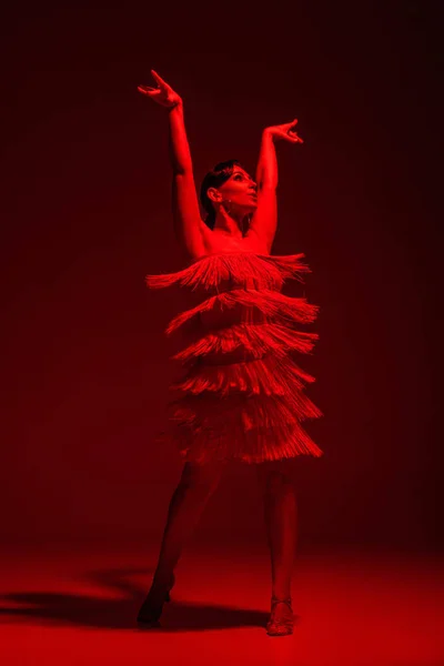 Hermosa bailarina en vestido con franja bailando tango sobre fondo oscuro con iluminación roja - foto de stock