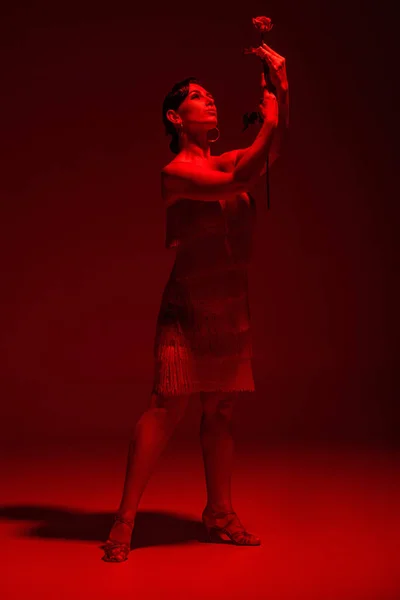 Elegante bailarina con rosa roja realizando tango sobre fondo oscuro con iluminación roja — Stock Photo