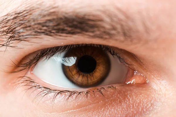 Cropped view of man looking at camera — Stock Photo