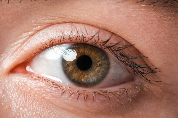 Close up of young woman looking at camera — Stock Photo