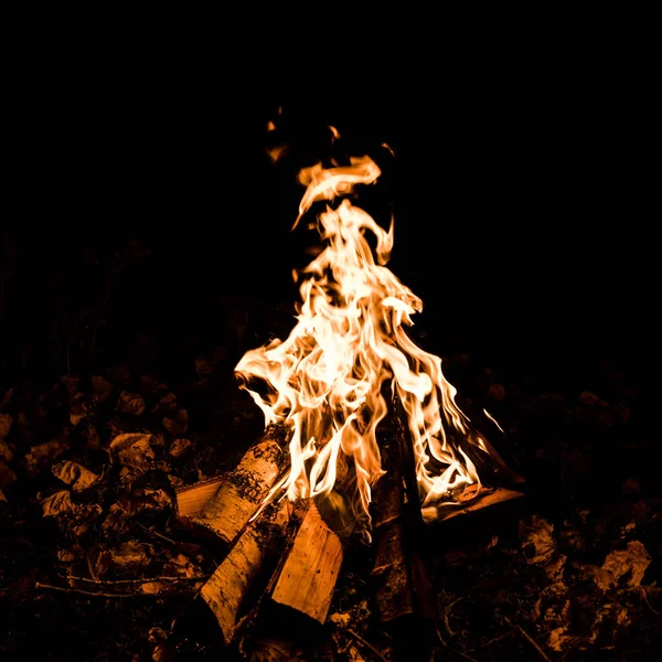 Troncos queimando no acampamento fogo na escuridão — Fotografia de Stock