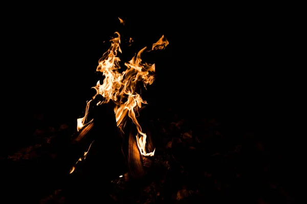 Nahaufnahme von Flammen am Lagerfeuer in der Dunkelheit in der Nacht — Stockfoto