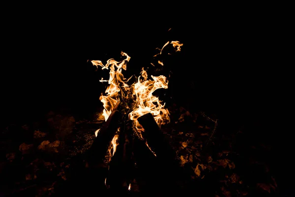 Troncos queimando no acampamento fogo na escuridão — Fotografia de Stock