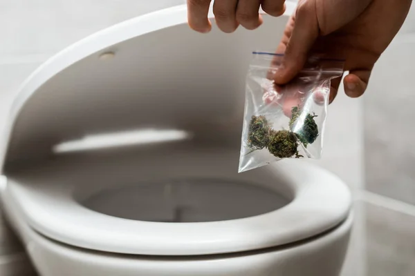 Vista ritagliata di uomo buttare via germogli di marijuana nella tazza del water — Foto stock