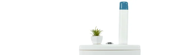 Inodoro limpio de cerámica con ambientador de aire y planta aislada en blanco, tiro panorámico - foto de stock