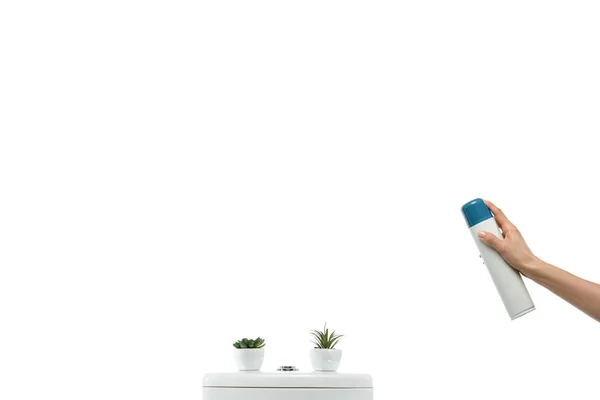 Vista recortada de la mujer pulverización ambientador cerca de cerámica inodoro limpio con plantas aisladas en blanco - foto de stock