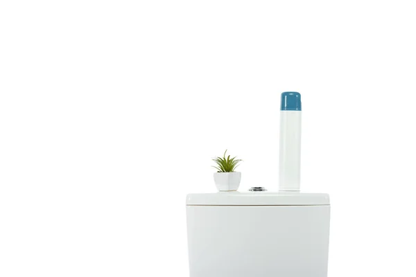 Tazón de inodoro limpio de cerámica con ambientador y planta aislada en blanco - foto de stock