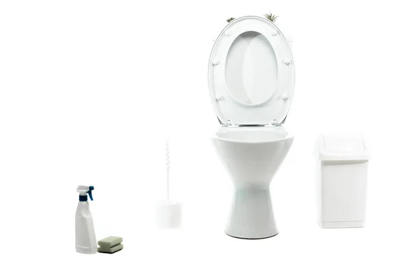 Ceramic clean toilet bowl near waste container, toilet brush, sponge, detergent isolated on white — Stock Photo