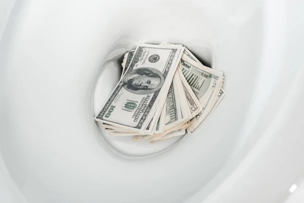 Close up view of money in ceramic clean toilet bowl — Stock Photo