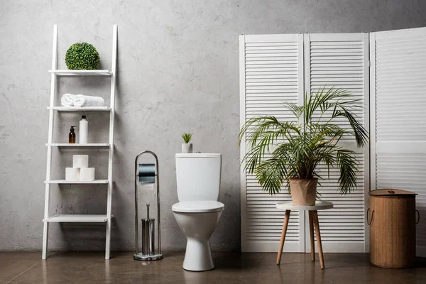 Interior do banheiro moderno com vaso sanitário perto de rack com cosméticos, toalhas, papel higiênico, cesta de lavanderia, palmeira e escova de vaso sanitário — Fotografia de Stock