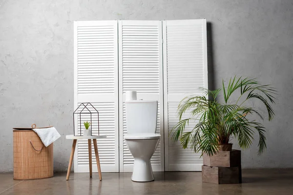 Интерьер современной ванной комнаты с унитазом рядом с складным экраном, корзина для белья, пальма и украшения — стоковое фото