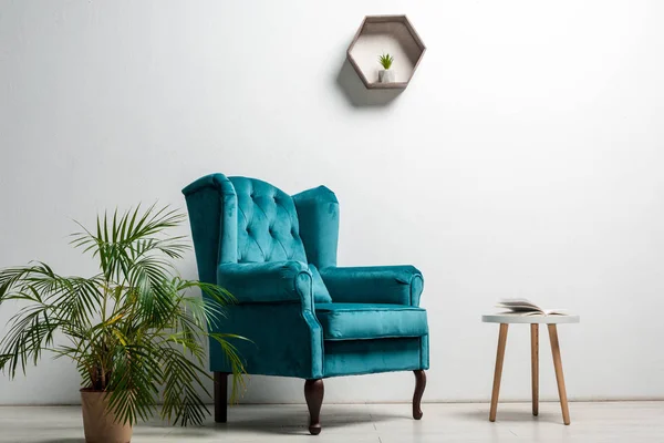 Интерьер комнаты с элегантным велюровым синим креслом рядом с зеленым растением и журнальным столиком возле белой стены — стоковое фото
