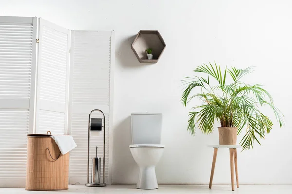 Interieur des weißen modernen Badezimmers mit Toilettenschüssel in der Nähe von Klappbildschirm, Wäschekorb, Palme und Toilettenbürste — Stockfoto