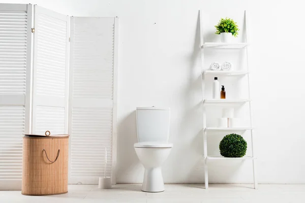 Intérieur de la salle de bain moderne blanche avec cuvette de toilette près de l'écran pliant, panier à linge, étagère et plantes — Photo de stock