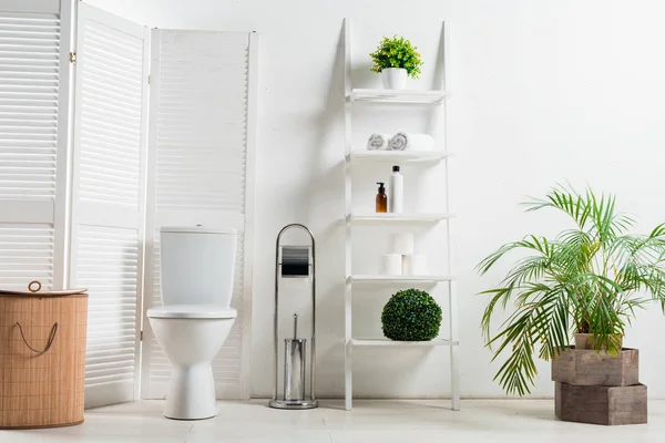 Interior de baño moderno blanco con inodoro cerca de la pantalla plegable, cesta de la ropa, rack y plantas - foto de stock